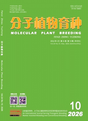 分子植物育种封面